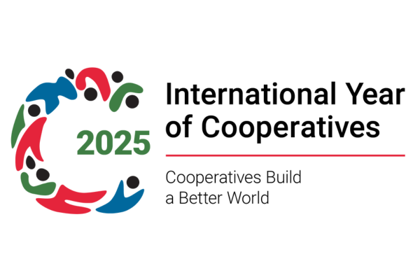 Logo International Year of Cooperatives 2025